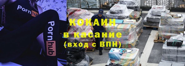 apvp Алзамай