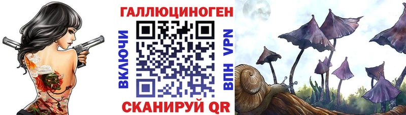 купить наркотики сайты  Отрадная  Галлюциногенные грибы Psilocybine cubensis 