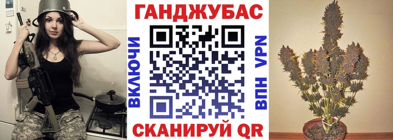как найти наркотики  Отрадная  Бошки Шишки семена 
